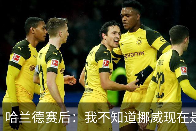 哈兰德赛后：我不知道挪威现在是几点，但我希望大家都在庆祝